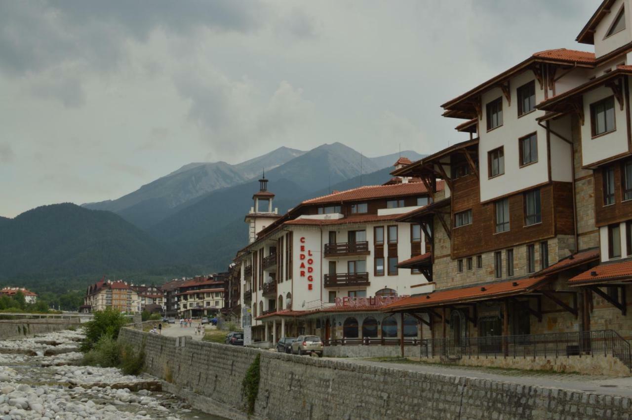 Ski Apartment D50 Cedar Lodge 4 Μπάνσκο Εξωτερικό φωτογραφία
